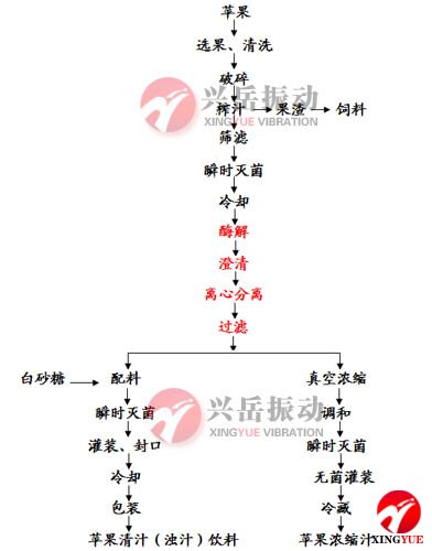 苹果汁生产工艺流程